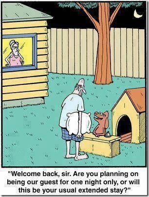 doghouse.jpg