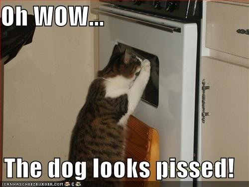 dogpissed_d0ae2ad8ebfbceb1cb05efdac80a04482b519561.jpg