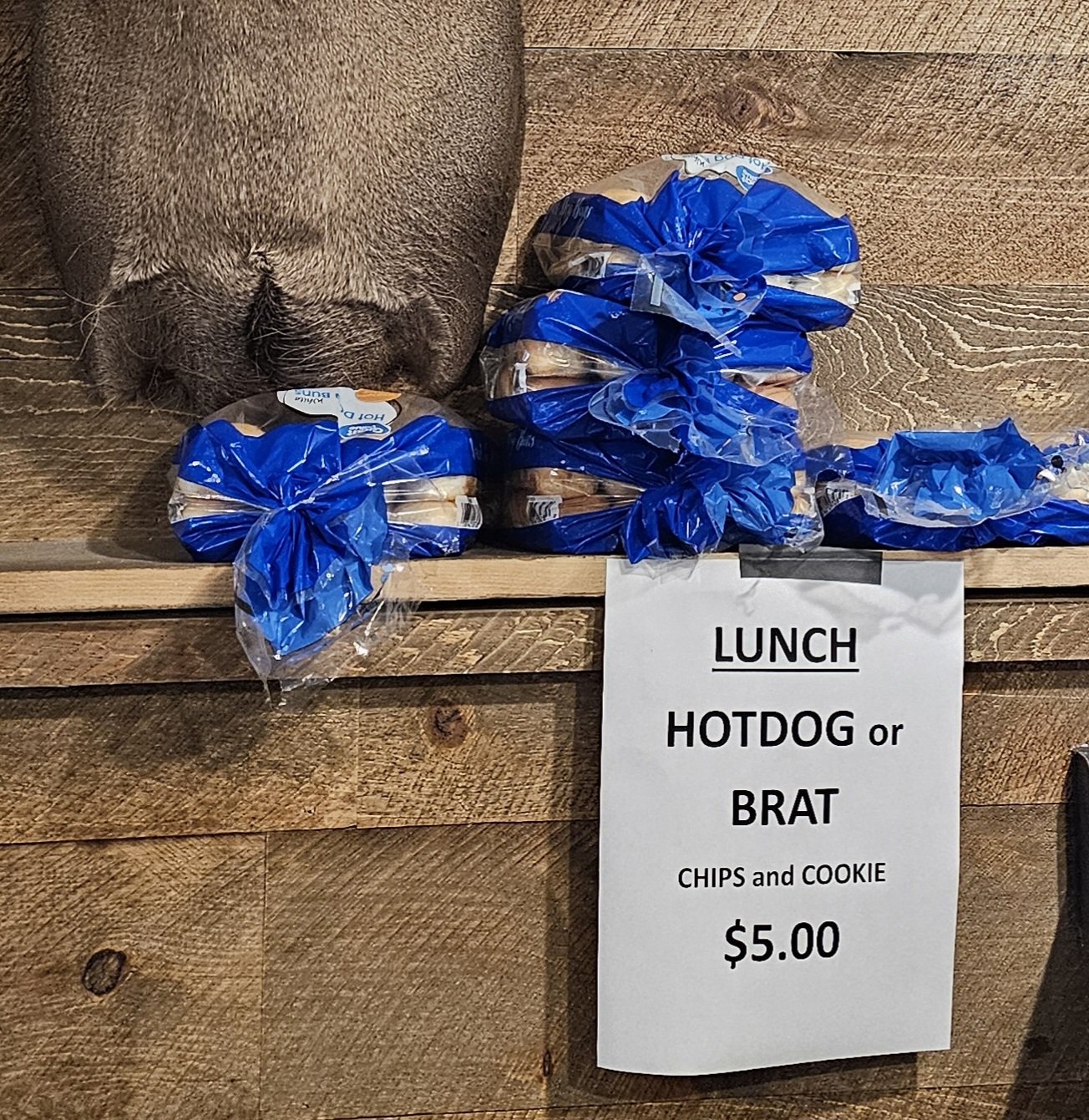 Dogs brats.jpg