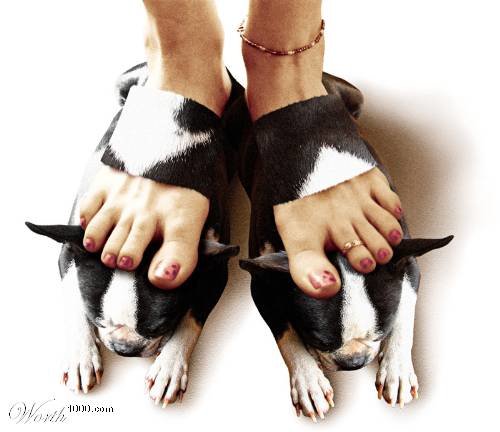 dogs.jpg