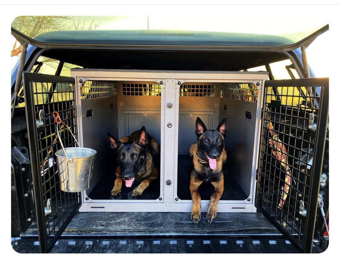DOGS KENNEL.jpg