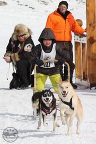 dogsled.jpg