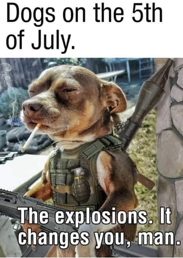 dogsonfifth.jpg