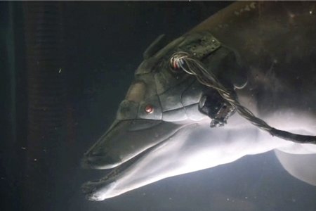 dolphin-in-johnny-mnemonic.jpg