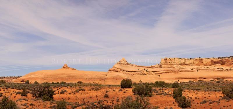 DomePano2-edited_zps73bfad50_9beb75b04e6787b45566eb0836ff7f431baa579b.jpg