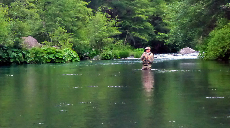 don fish on.jpg