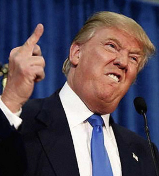 DonaldTrumpFinger-1.jpg