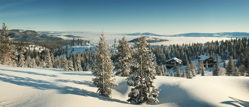 Donner Ridge.jpg