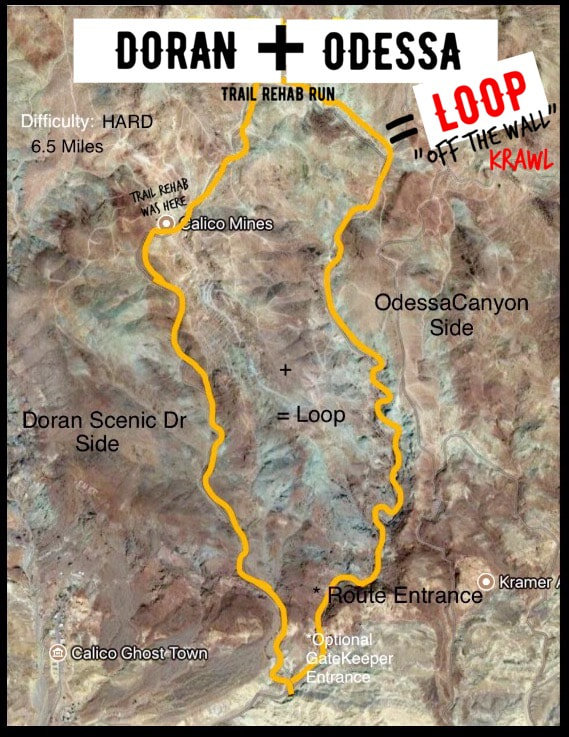 Doran+Odessa.jpg