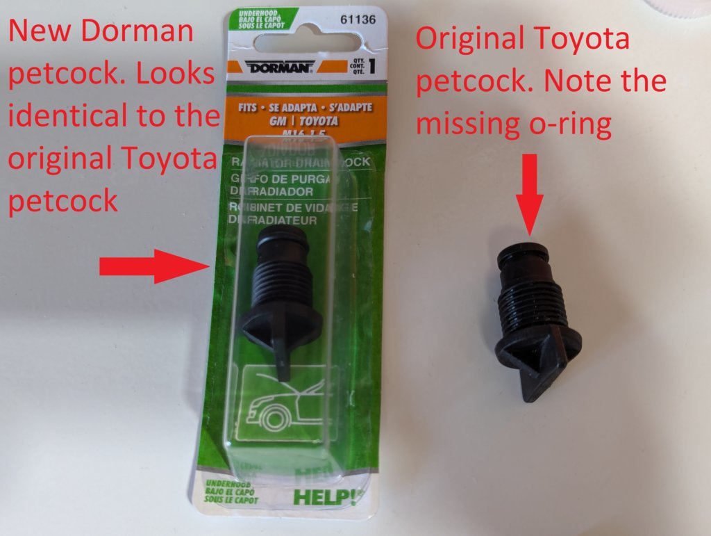dorman 1.jpg