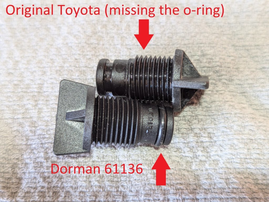 dorman 2.jpg