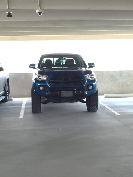 Dory2.jpg