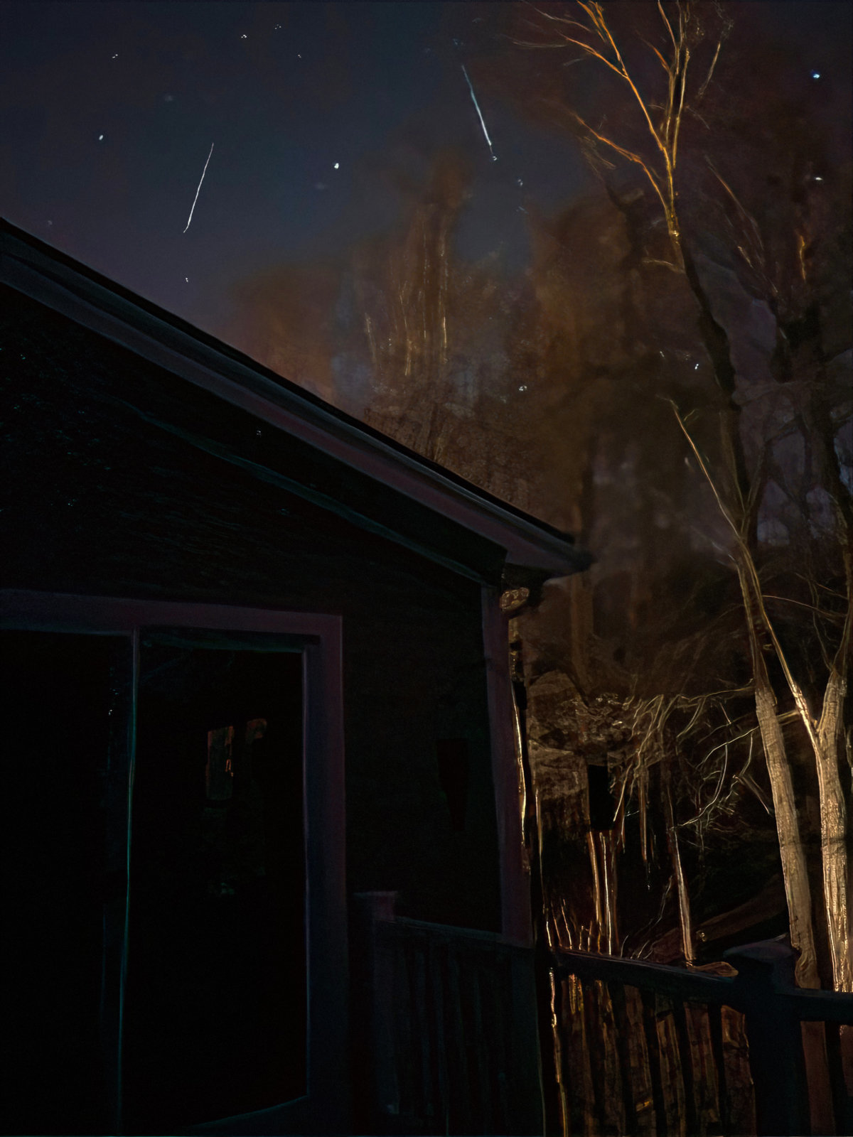 Double Geminid Meteors 12-14-2023.jpg