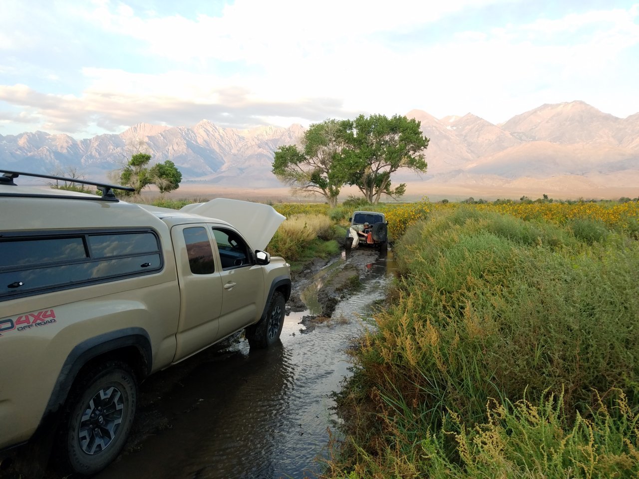 Dove Hunting, Owens Valley, 2017.jpg