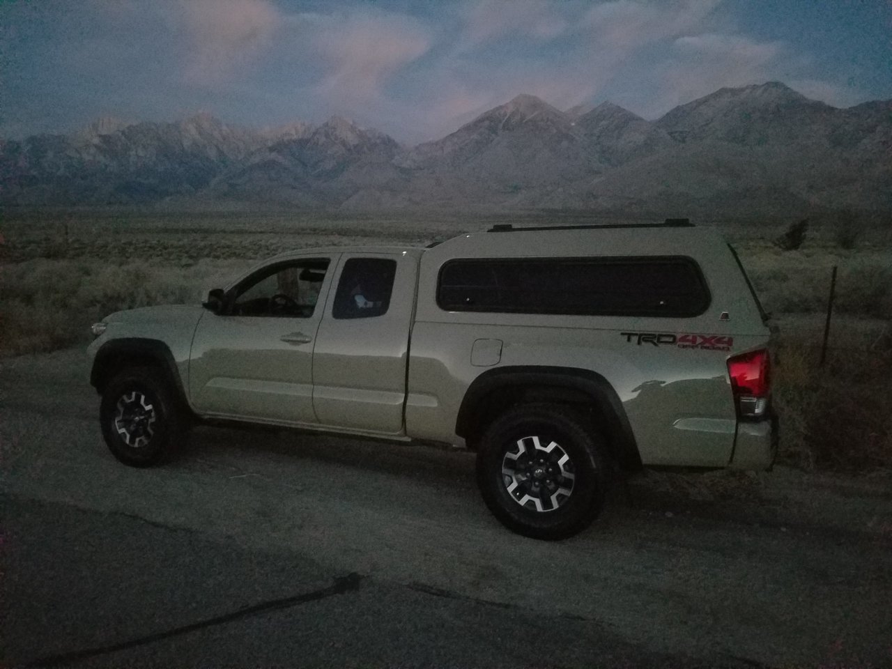 Dove Opener.jpg