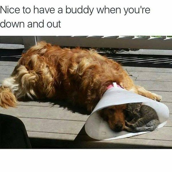 down and out.jpg