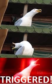 download.jpg