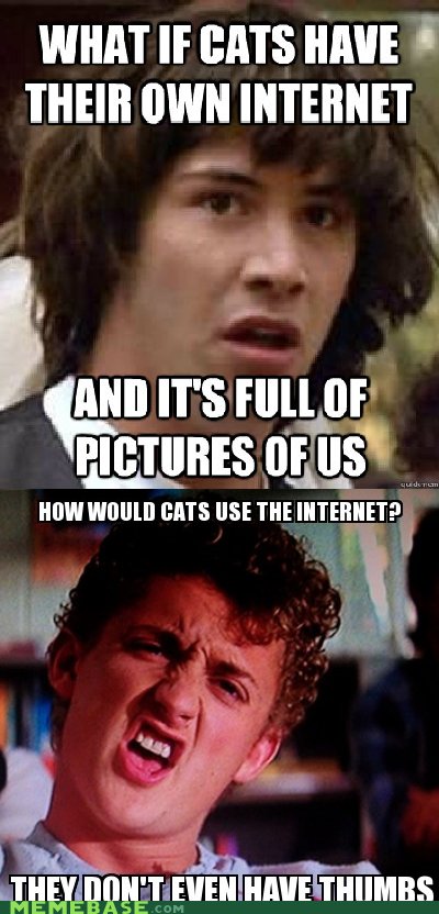 download.jpg