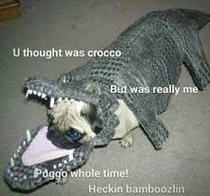 download.jpg