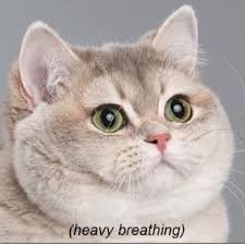 download.jpg
