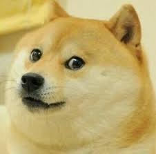 download1doge_zps3b6a9237_5885453130694cd24c3d58c8f05786fb365696ad.jpg