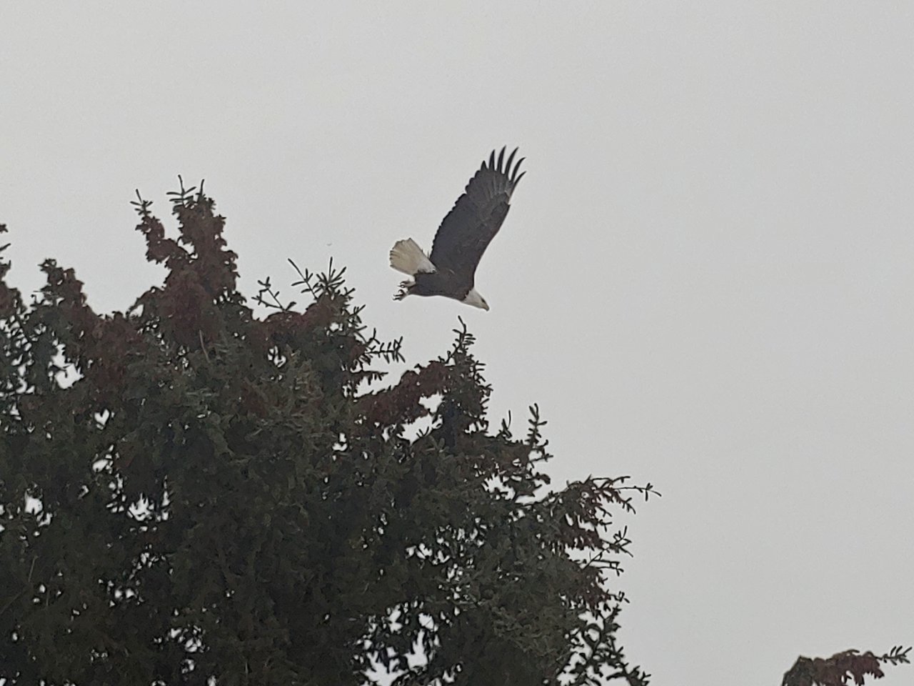 download_20201231_110329.jpg
