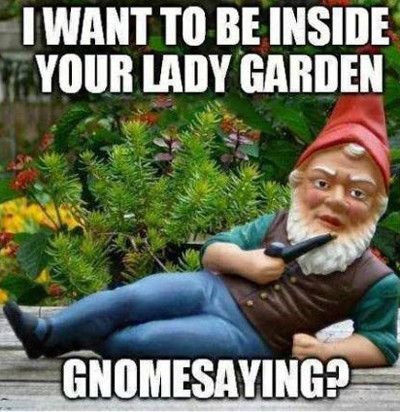 downloadfile-15.jpg