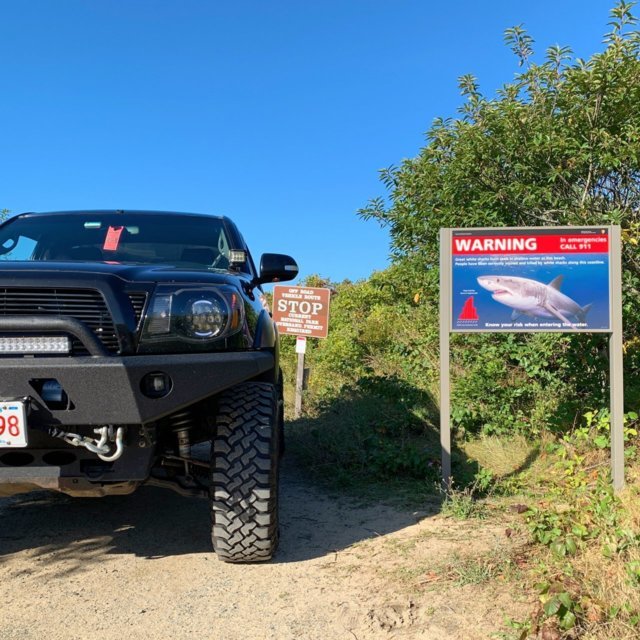downloadfile-17.jpg