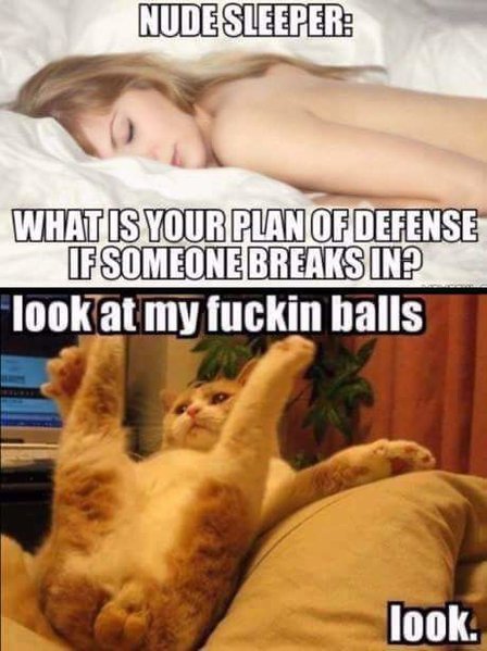 downloadfile-32.jpg