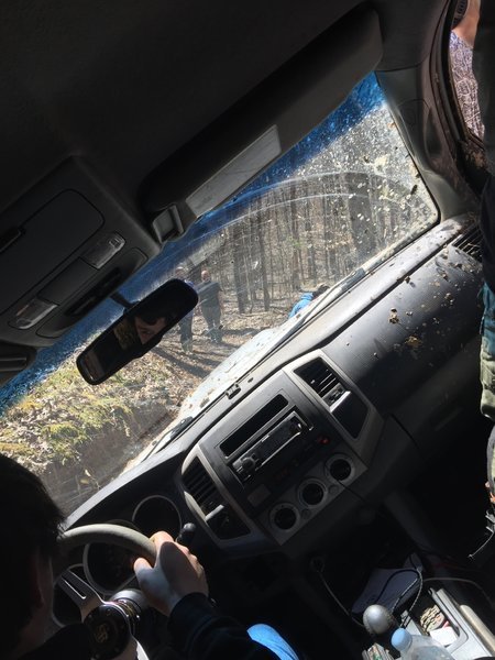downloadfile-7.jpg