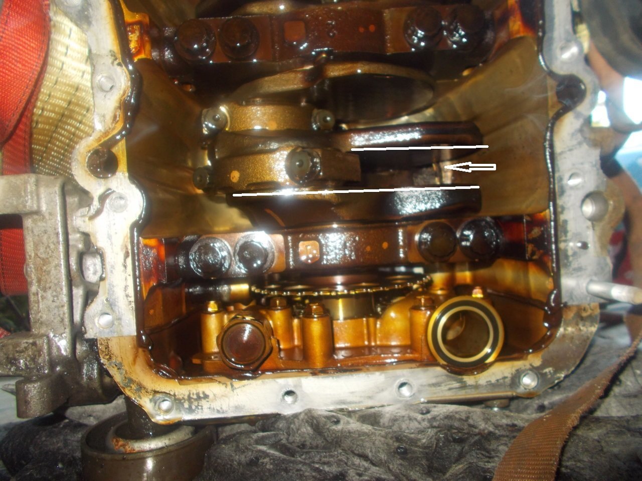 downloadfile-7.jpg