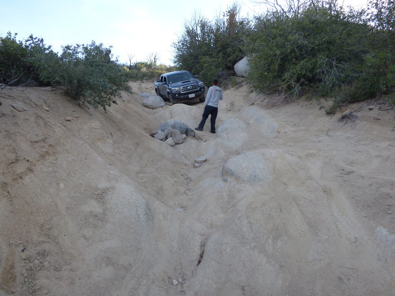 downloadfile-7.jpg