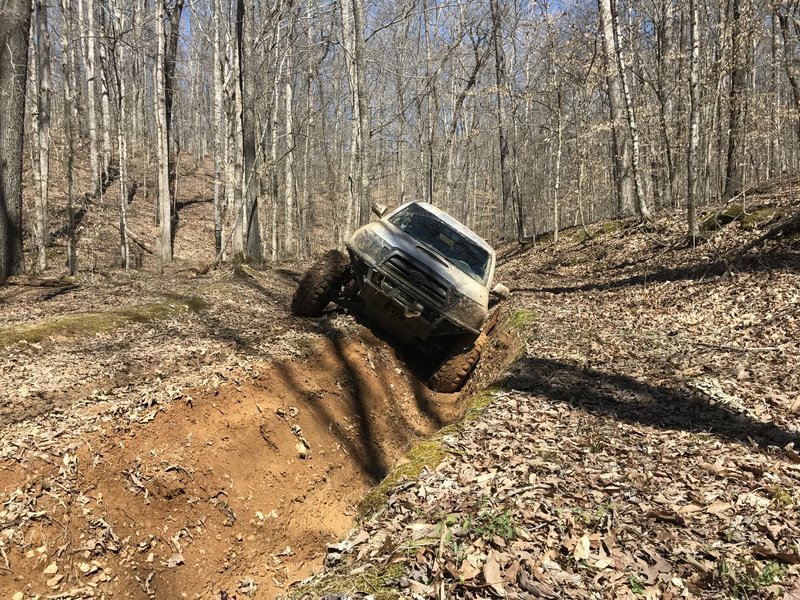downloadfile-9.jpg