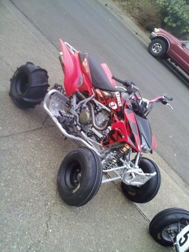 downsized951227091516.jpg