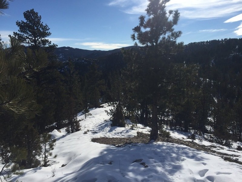 downthetrail_zpsbebwfman_2d8e4eeecd59eeb819d71739370a8e6df76f7f3a.jpg