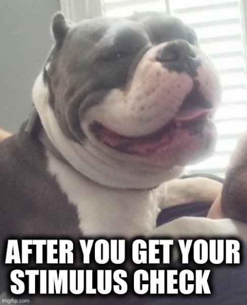 Doze2.jpg