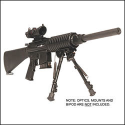 DPMS.jpg