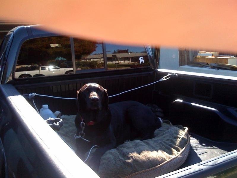 drake in truck driveway.jpg