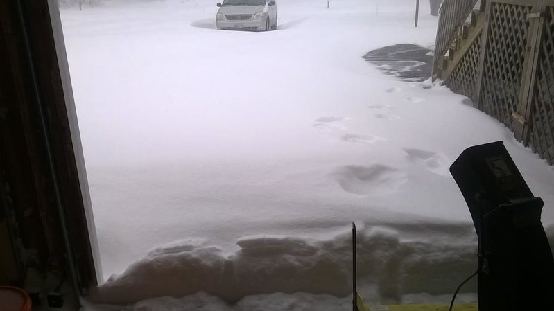 drifts1.jpg