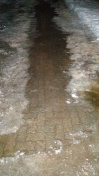 drive path.jpg