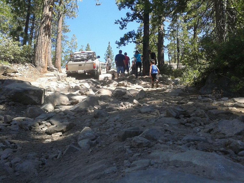 driveline hill.jpg