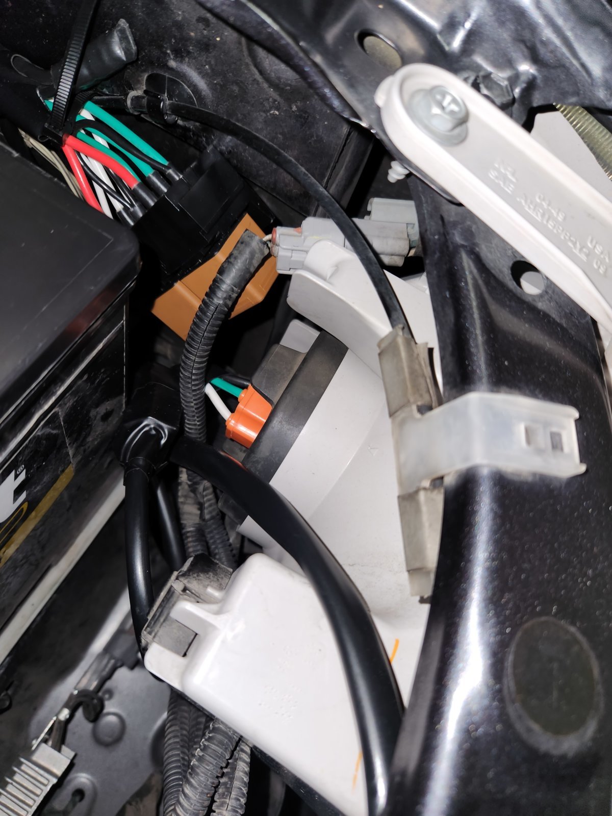 Driver Bulb Plug - Relays.jpg