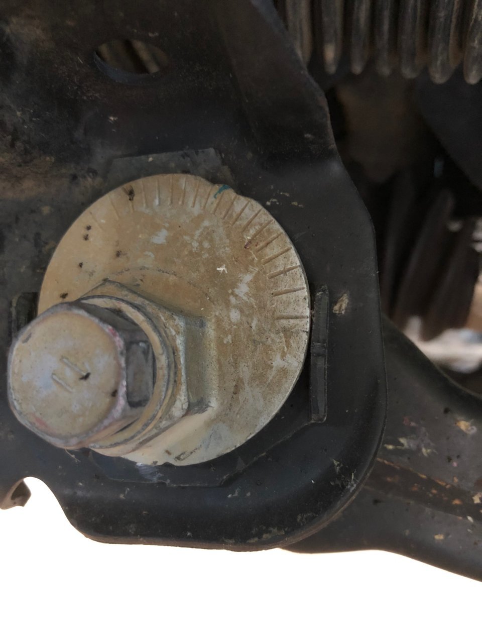 Driver Front.jpg