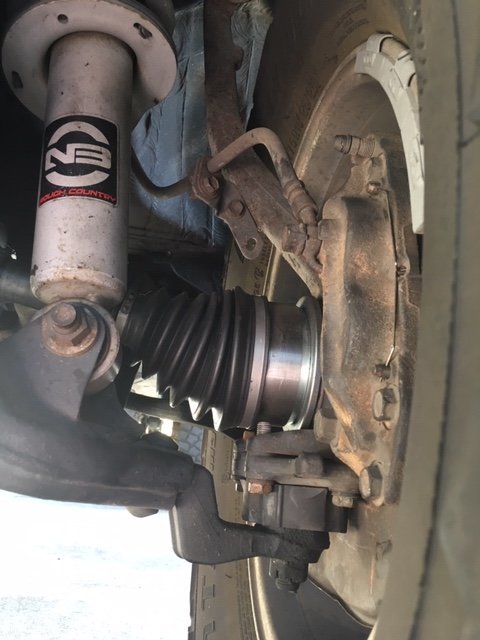 Driver front.jpg