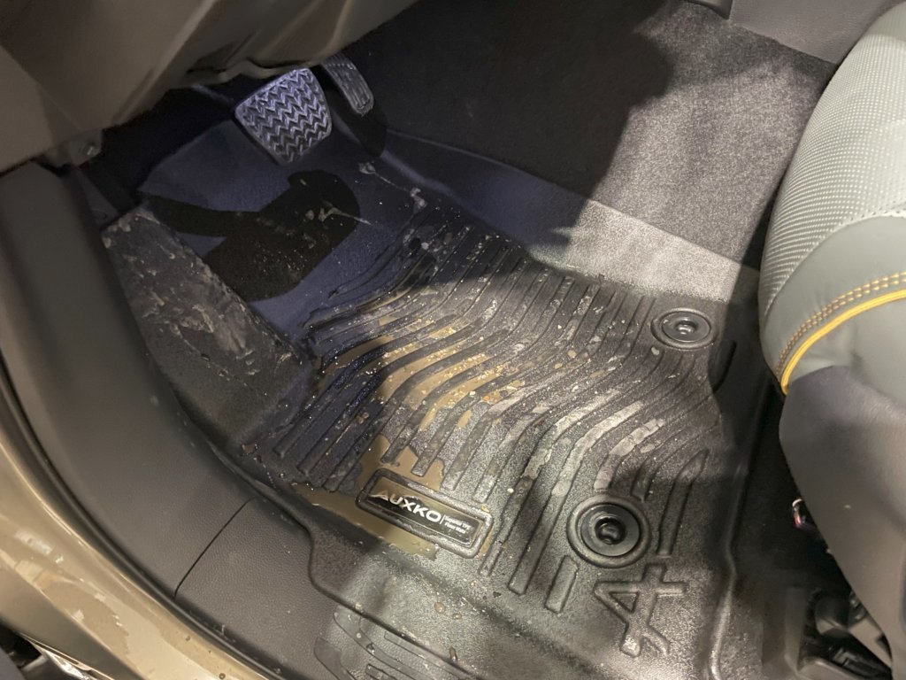 Driver In.jpg
