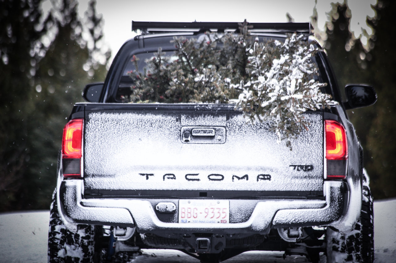 DRIVER REAR (1 of 1).jpg