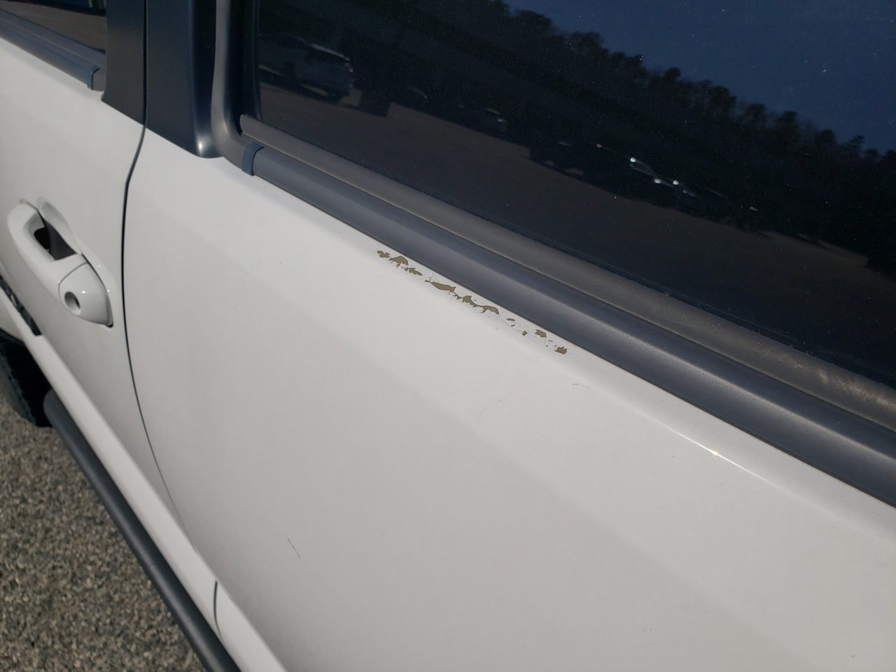 Driver side Rear Door (1).jpg