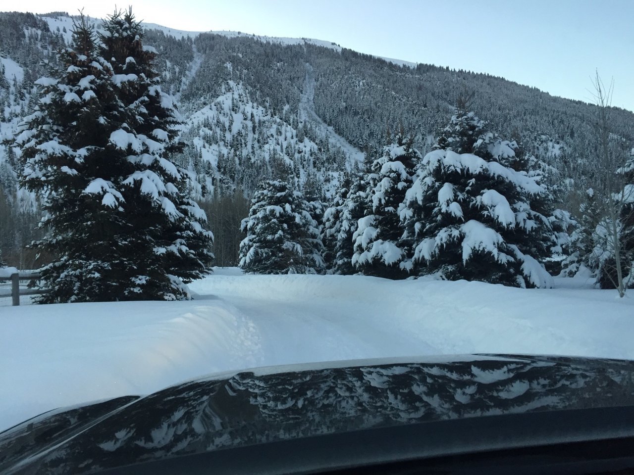Driveway.jpg