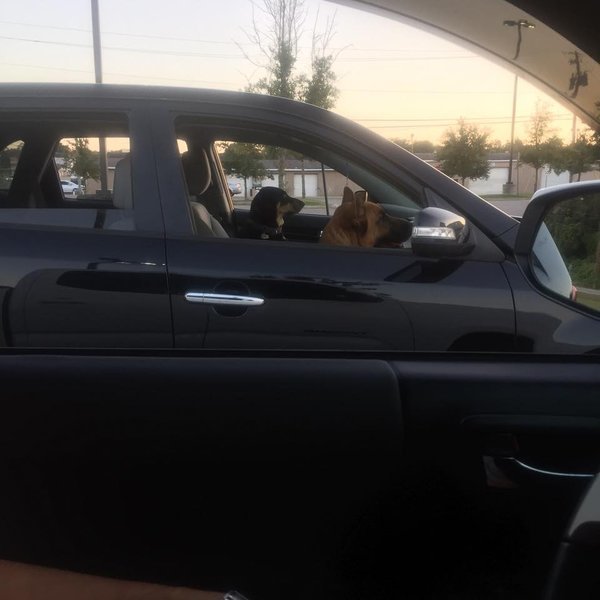 driving.jpg