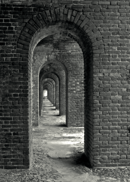 DryTortuga2009PNG81.png